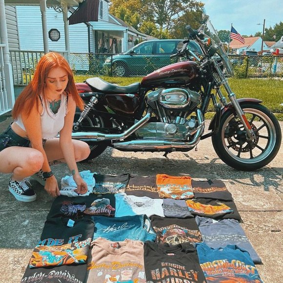 Meet your Posher, Trixie - Picture 7 of 10